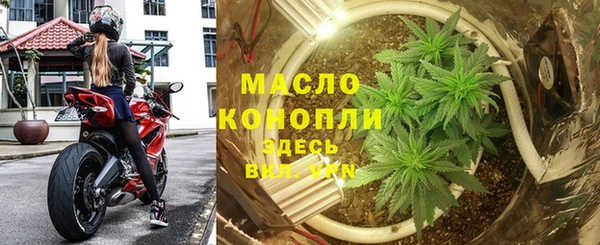 бошки Бородино
