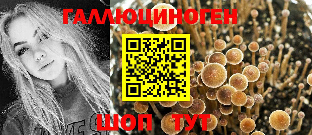 Галлюциногенные грибы Psilocybe  Псилоцибиновые грибы Magic Shrooms  Вход с VPN  Воскресенск 
